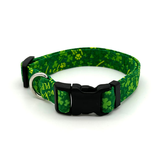 Lucky Pup Dog Collar 