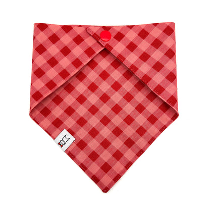 Red and Pink Checkered Dog Bandana