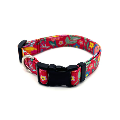 Toucan Dog Collar