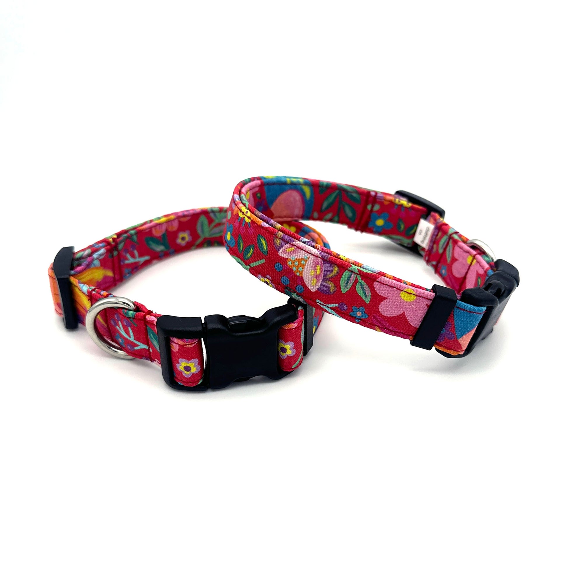 Toucan Dog Collar