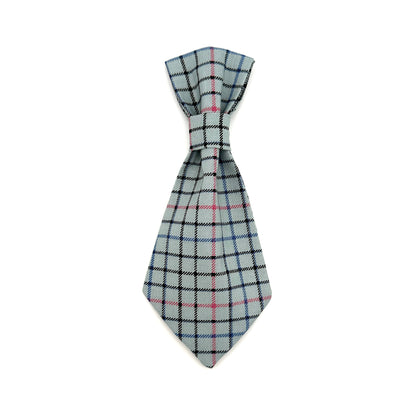 Winthrop Plaid Dog Tie 